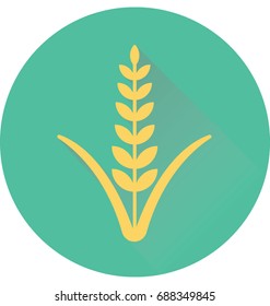 
Wheat Vector Icon
