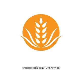 Wheat vector icon