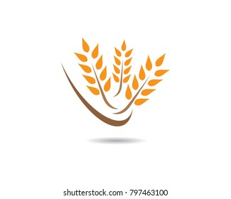 Wheat vector icon