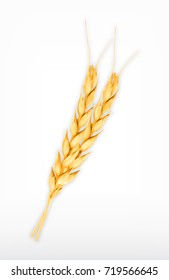 Wheat. Vector icon. 3d illustration. EPS10 vector