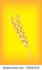 Wheat. Vector icon. 3d illustration. EPS10 vector