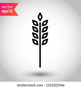 Wheat vector icon. Agriculture vector icon sign. EPS 10