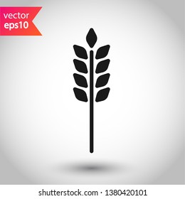 Wheat vector icon. Agriculture vector icon sign. EPS 10