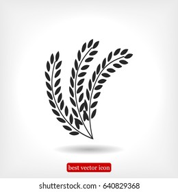 wheat vector icon, vector best flat icon, EPS