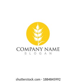  wheat vector icon design logo