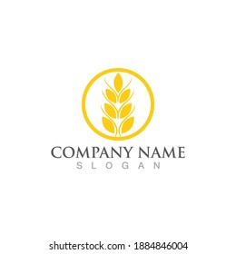  wheat vector icon design logo