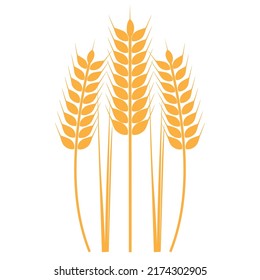 wheat vector icon. Ears of wheat, seeds of wheat, or wheat raisins, symbols of prosperity.