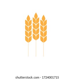 wheat vector icon  gluten sign