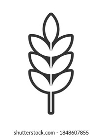Wheat vector icon. Grain spike symbol. Crop and oat ear sign. Barley or rye cartoon silhouette. Food gluten package logo. Cereal plant clip-art label.