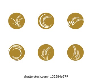 Wheat vector icon illustration