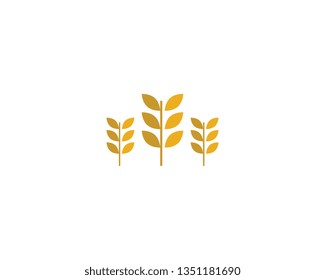 Wheat vector icon illustration