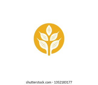 Wheat vector icon illustration