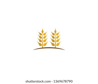 Wheat vector icon illustration