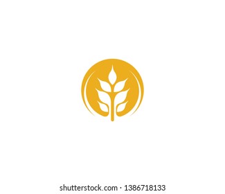 Wheat vector icon illustration design