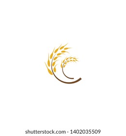 Wheat vector icon illustration design