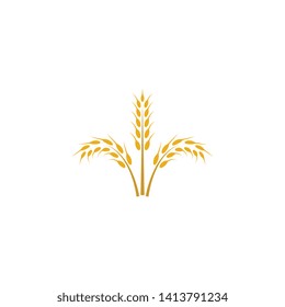 Wheat vector icon illustration design