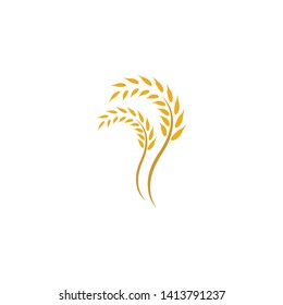Wheat vector icon illustration design