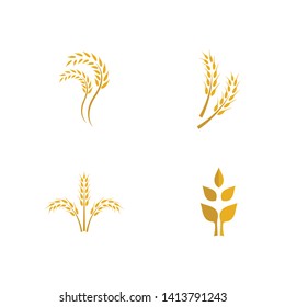 Wheat vector icon illustration design