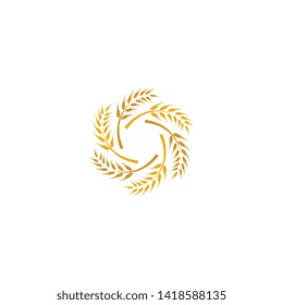 Wheat vector icon illustration design