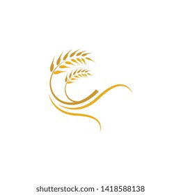 Wheat vector icon illustration design