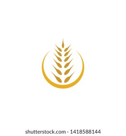 Wheat vector icon illustration design