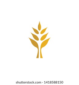 Wheat vector icon illustration design