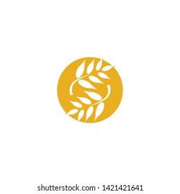 Wheat vector icon illustration design