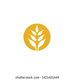 Wheat vector icon illustration design