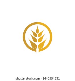 Wheat vector icon illustration design