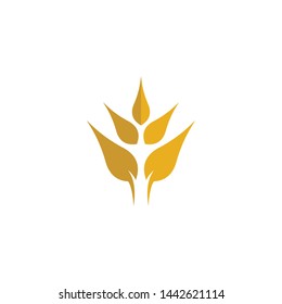 Wheat vector icon illustration design