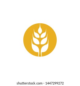 Wheat vector icon illustration design