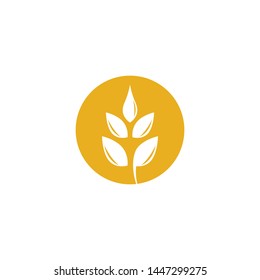 Wheat vector icon illustration design