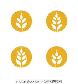 Wheat vector icon illustration design