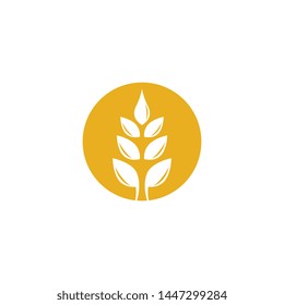 Wheat vector icon illustration design