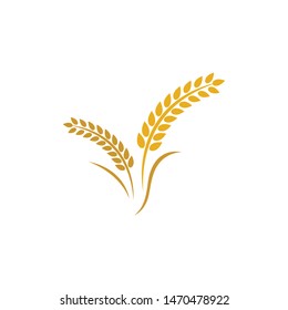 Wheat vector icon illustration design