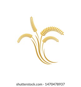 Wheat vector icon illustration design