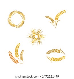 Wheat vector icon illustration design