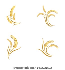 Wheat vector icon illustration design