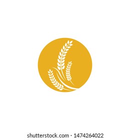 Wheat vector icon illustration design