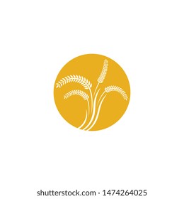 Wheat vector icon illustration design