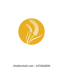 Wheat vector icon illustration design