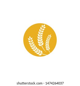 Wheat vector icon illustration design