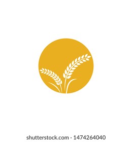 Wheat vector icon illustration design