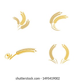 Wheat vector icon illustration design