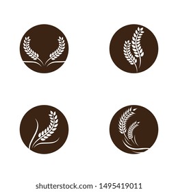 Wheat vector icon illustration design