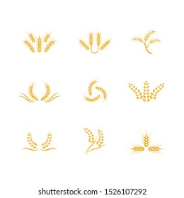 Wheat vector icon illustration design