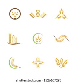 Wheat vector icon illustration design