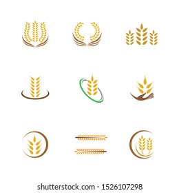 Wheat vector icon illustration design