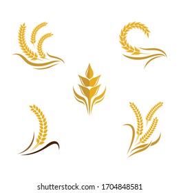 Wheat vector icon illustration design