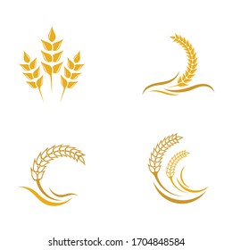 Wheat vector icon illustration design